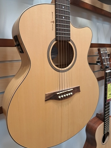 Seagull Guitars Natural Elements Mini-Jumbo 2